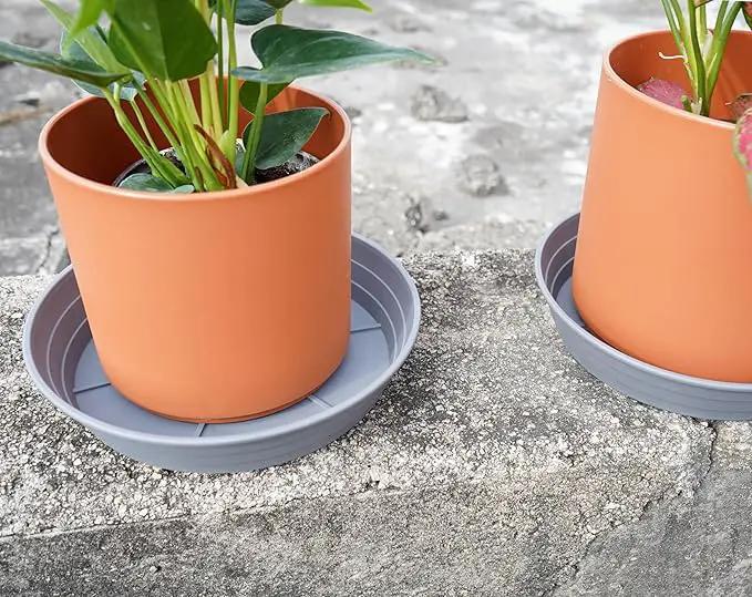 Plant Saucer 8 Inch 4 Pack 6 8 10 12 14 16 18 20 25, Plastic Plant Trays for Pots，Extra-Deep Plant Water Dray Tray, Bird Bath Bowl, Heavy Flower Plant saucers Indoors and Outdoor No Holes 8in-4 grey by GreenHaven Gardens