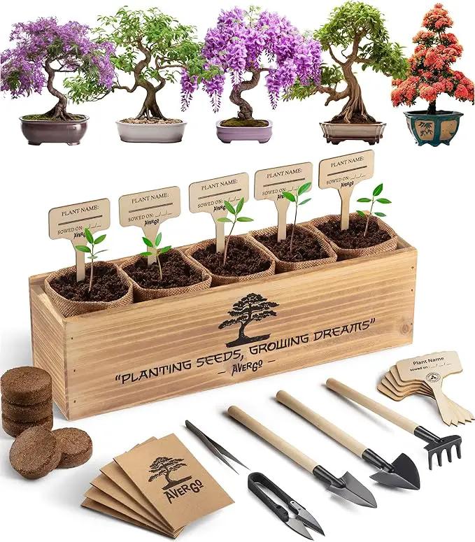 Bonsai Tree Kit – 5X Unique Japanese Bonzai Trees | Complete Indoor Starter Kit for Growing Bonsai Plants with Tools & Planters – Gardening Gifts for Women & Men by GreenHaven Gardens