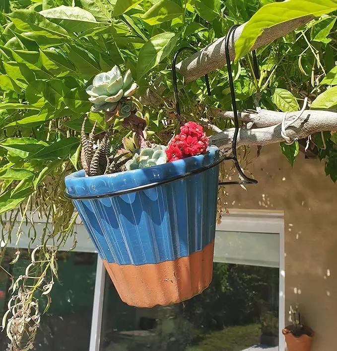 6 Pieces, 8 inches Iron hanging Flower Pot. Metal Plant Wall Hanger, Vertical Yard Garden. Planter Hook Ring, Rail Metal Fence. Indoor and Outdoor. Wire Trellis. Collapsible Bracket. (8 inches) by GreenHaven Gardens