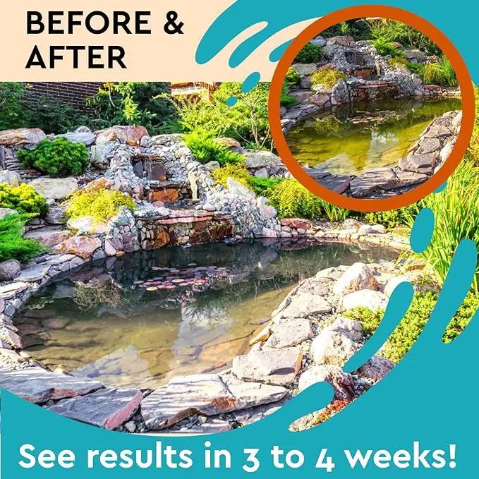 Algaecide for Fountains – Clarify and Controls Algae for Large and Small Fountain - 32 oz (Quart) by GreenHaven Gardens
