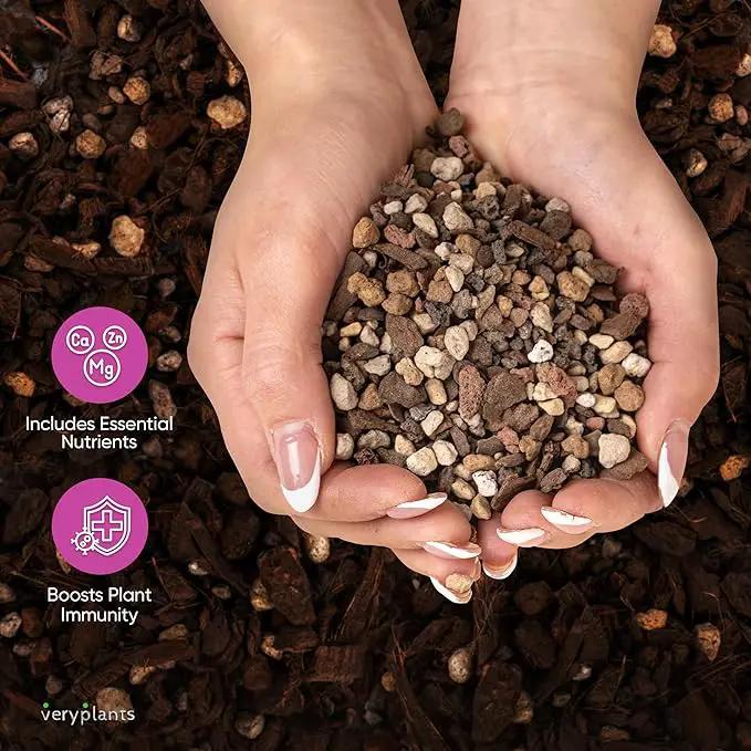 Molly's Succulent Mix - Premium Gritty Soilless Potting Mix for Succulents, Cactus and Bonsai - Contains Akadama, Hyuga, Bark Fines, Pumice, Lava Rock, Mycorrhizae 5 Dry Quarts by GreenHaven Gardens