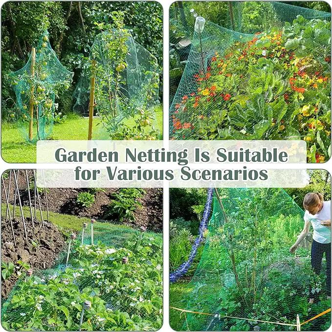 CandyHome 13Ft x 33Ft Anti Bird Protection Mesh Garden Netting Seedlings Plants Flowers Fruit Trees Vegetables from Rodents Deer Reusable Fencing, Green by GreenHaven Gardens