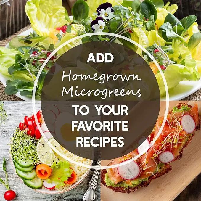 Buckwheat Seeds - 1 Lb ~15,000 Seeds - Organic, Non-GMO, Whole (Shell On) - Grow Buck Wheat Microgreens by GreenHaven Gardens