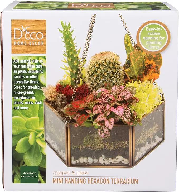 Deco Glass Geometric DIY Terrarium, Succulent & Air Plant- Hanging Mini Hexagon Shaped for Indoor Gardening Decor- Create Your own Flower, Fern, Moss Centerpiece- Amazing Holiday and Wedding Gift by GreenHaven Gardens