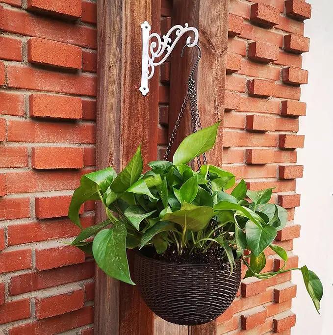 YOYOSO Sunshine Iron Hanging Planter Bracket, 2 Pcs 6-Inch Wall Hooks for Hanging Birds Feeders, Latern, Wind Chimes, Coat, Decorative Indoor Outdoor (Screws Included, White) by GreenHaven Gardens