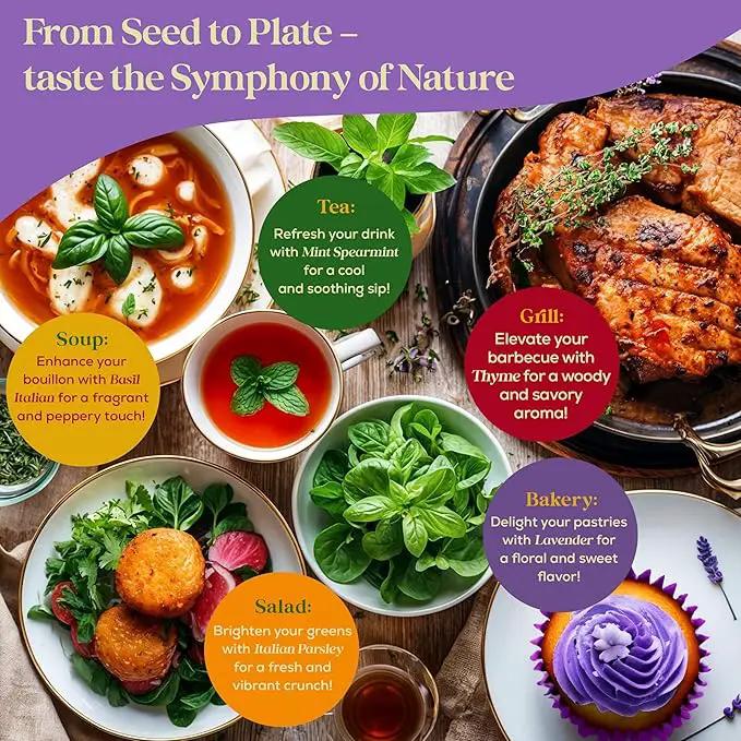 25 Culinary Classic Herb Seeds Variety Pack - 13,055+ Non-GMO Heirloom Herbs Seeds for Planting Indoor & Outdoor: Lavender, Rosemary, Dill, Mint, Catnip, Basil - Gardening Seeds Packets by GreenHaven Gardens