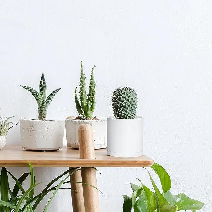 D'vine Dev 6 Pack 4 Inch Modern Plastic Plant Pots, Small Garden Planters for Plant with Drainage Holes and Saucers, White Color, 74-Z-E-3 by GreenHaven Gardens