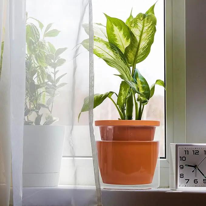 D'vine Dev 6 Inch Design Self Watering Pot for Indoor Plants, Terracotta Planter with Cylinder Glass Cup, 37-X-B-1 by GreenHaven Gardens