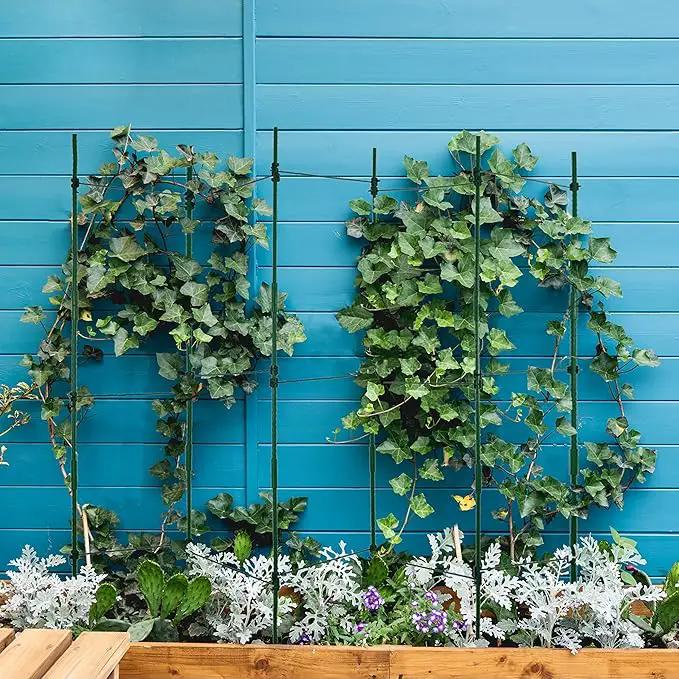 Gardzen Multi-use Tomato Cage Plants Support, Trellis Climbing Cage Stand for Pepper Eggplant Tomato Flowers by GreenHaven Gardens