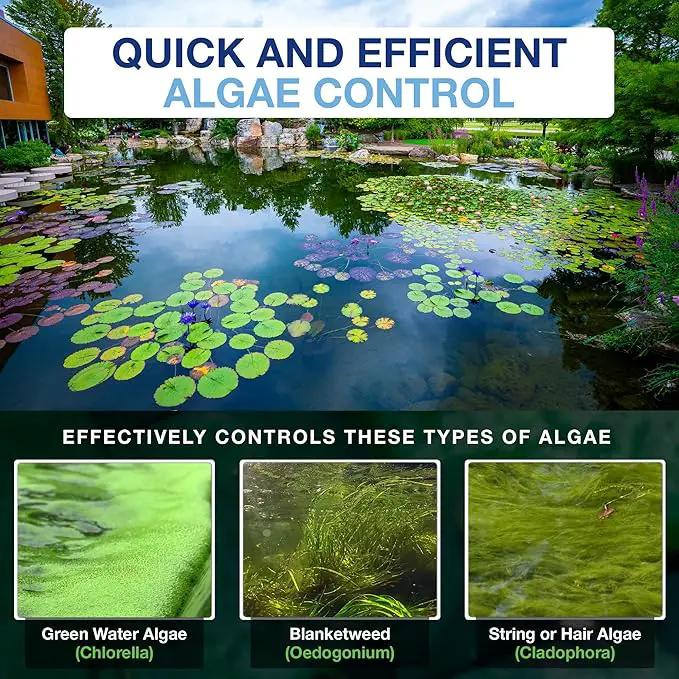 Aquascape 96026 Algaecide for Pond, Waterfall, and Water Features, 1-Gallon by GreenHaven Gardens