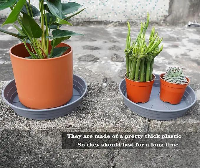 Plant Saucer 8 Inch 4 Pack 6 8 10 12 14 16 18 20 25, Plastic Plant Trays for Pots，Extra-Deep Plant Water Dray Tray, Bird Bath Bowl, Heavy Flower Plant saucers Indoors and Outdoor No Holes 8in-4 grey by GreenHaven Gardens