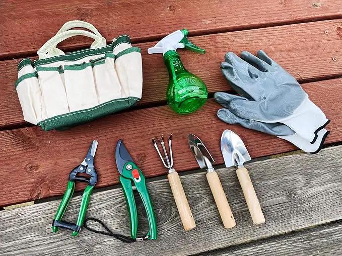 RyKing Small Garden Tool Set, 8 Piece Gardening Balcony Mini Kit Bag, Trowel Transplanter Hand Rake Pruner Snips Shovel Gloves Watering Spray, Stainless Steel Wooden Handles, Gift for Woman Men Kids by GreenHaven Gardens