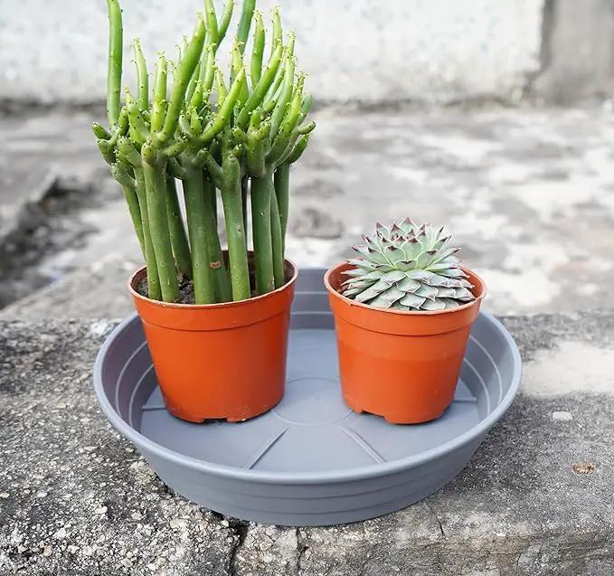 Plant Saucer 8 Inch 4 Pack 6 8 10 12 14 16 18 20 25, Plastic Plant Trays for Pots，Extra-Deep Plant Water Dray Tray, Bird Bath Bowl, Heavy Flower Plant saucers Indoors and Outdoor No Holes 8in-4 grey by GreenHaven Gardens