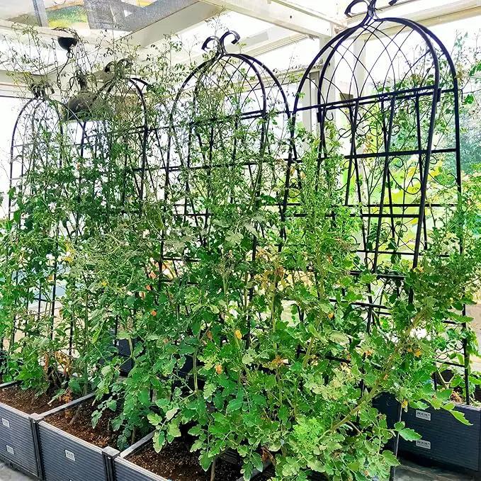 2 Pack Metal Garden Trellis for Climbing Plants 71" x 19.7" Outdoor Fence Rustproof Garden Trellis Support Roses Flower Lawn, Black 6FT by GreenHaven Gardens