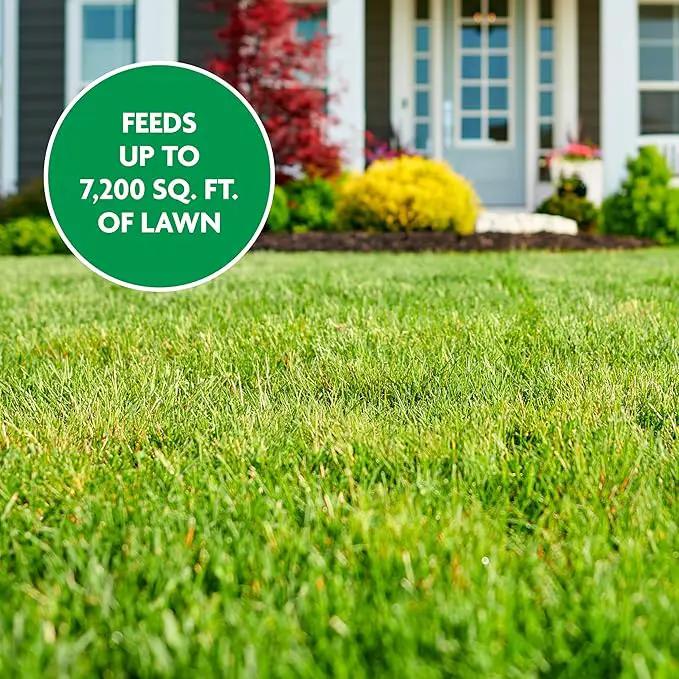Miracle-Gro Water Soluble Lawn Food and Garden Feeder Bundle, Hose-End Feeding System for Lawns by GreenHaven Gardens