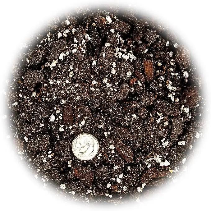 Professional Succulent Soil Premium All Purpose Blend | Pre-Mixed Ready to Use for Cactus and Succulents | Sphagnum Peat Moss, Perlite, New Zealand Pine Bark - Made in USA - 2 Quart by GreenHaven Gardens