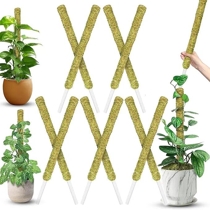 DUSPRO Natural Stackable Moss Pole for Plants Monstera Potted Plant Stakes for Indoor Plants Extendable Plant Pole Moss Sticks for Plants Climbing Vine Supporting Monstera Trellis 10Pcs 22'' by GreenHaven Gardens