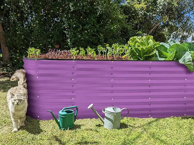 Galvanized Raised Garden Beds Outdoor // 6×2×2 ft Planter Raised Beds for Gardening, Vegetables, Flowers // Large Metal Garden Box (Purple) // Patented Tool-Free Design by GreenHaven Gardens