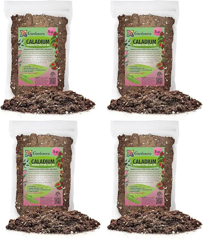 Caladium Potting Mix - Unlock Robust Growth and Striking Leaf Color with Our High-Performance Formula - 20 Quart by GreenHaven Gardens