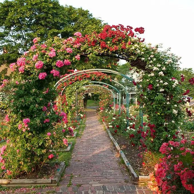 RUBFAC Metal Garden Arch, Wedding & Event Decoration, Garden Trellis for Climbing Plants, Assemble Freely 2 Sizes for Various Climbing Plant Roses Vines Bridal Party Decoration, Army Green, 1 Pack by GreenHaven Gardens