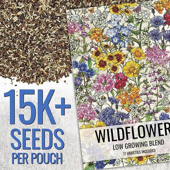 Seed Needs Low Growing Wildflower Flower Seeds for Planting | 10 Packs (1 Ounce Each) Mixture/Blend 17 Varieties | Resealable Package Multicolored Blooms Open Pollinated Mixed Species | Bulk by GreenHaven Gardens