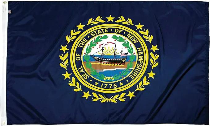 FlagSource New Hampshire Nylon State Flag, Made in USA, 4x6' by GreenHaven Gardens