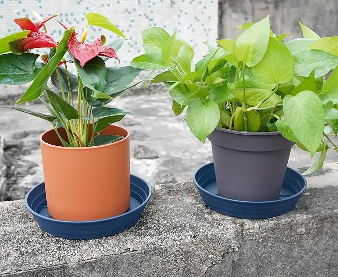 Plant Saucer 14 Inch 4 Pack 6 8 10 12 14 16 18 20 25, Plastic Plant Trays for Pots，Extra-Deep Plant Water Dray Tray, Bird Bath Bowl, Heavy Flower Plant Saucers Indoors and Outdoor No Holes by GreenHaven Gardens