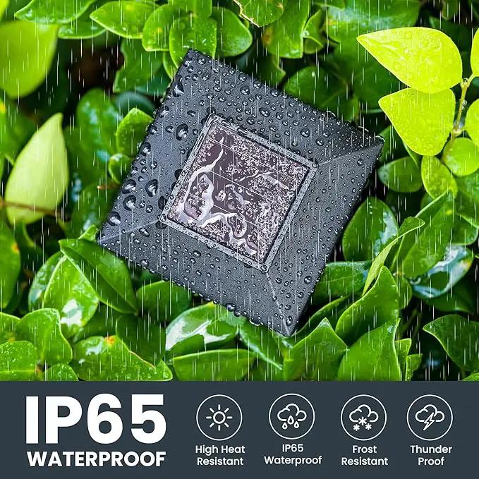 GIGALUMI Solar Lights for Outside,10 Pack Flickering Flame LED Solar Outdoor Lights, Waterproof Solar Garden Lights Maintain 10 Hours of Lighting for Christmas, Garden, Landscape, Path, Yard, Patio by GreenHaven Gardens