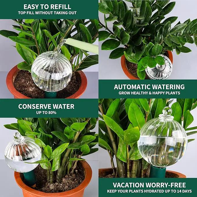23 oz Extra Large Plant Watering Globes Top Fill, Clear Glass Water Bulbs with Terracotta Spikes Stake, Vacation Slow Release Self Watering Planter Insert, Automatic Drip Device, 1 Pack by GreenHaven Gardens