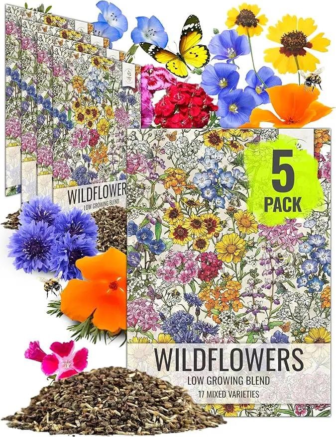 Seed Needs Low Growing Wildflower Flower Seeds for Planting | 5 Packs (1 Ounce Each) Mixture/Blend 17 Varieties | Resealable Package Multicolored Blooms Open Pollinated Mixed Species | Bulk by GreenHaven Gardens