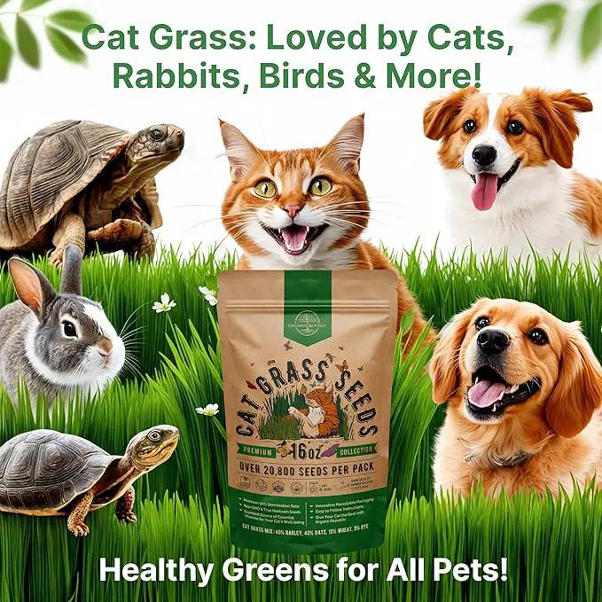 Organo Republic Cat Grass Seeds Mix - 20,800 Non-GMO Heirloom Seeds for Cats & Pets, 16 oz Pack for Growing Fresh Barley, Oat, Rye & Wheat Grass Seeds for Planting, Indoor Plants, Hairball Remedy by GreenHaven Gardens
