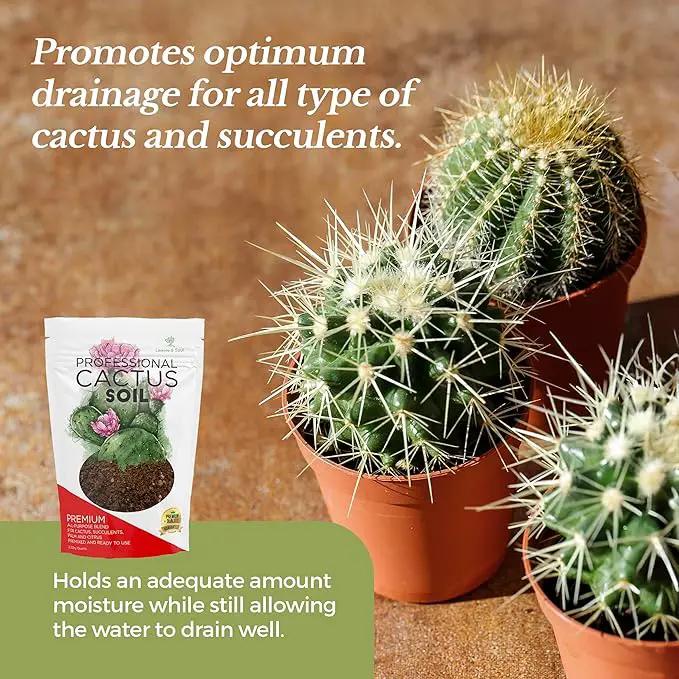Professional Cactus Soil | Large 2.2 Quarts Ready to Use for Cactus Plants | Peat Moss, Coco Coir, Perlite, Dolomite | Made in USA by GreenHaven Gardens