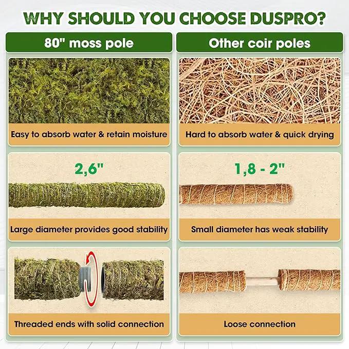 DUSPRO 80 Inches Large Moss Pole for Plants Monstera, Plant Stakes for Indoor Plants, Monstera Plant Support, Plant Support/Plant Pole for Big Climbing Plants Indoor (1pc., 80'') by GreenHaven Gardens