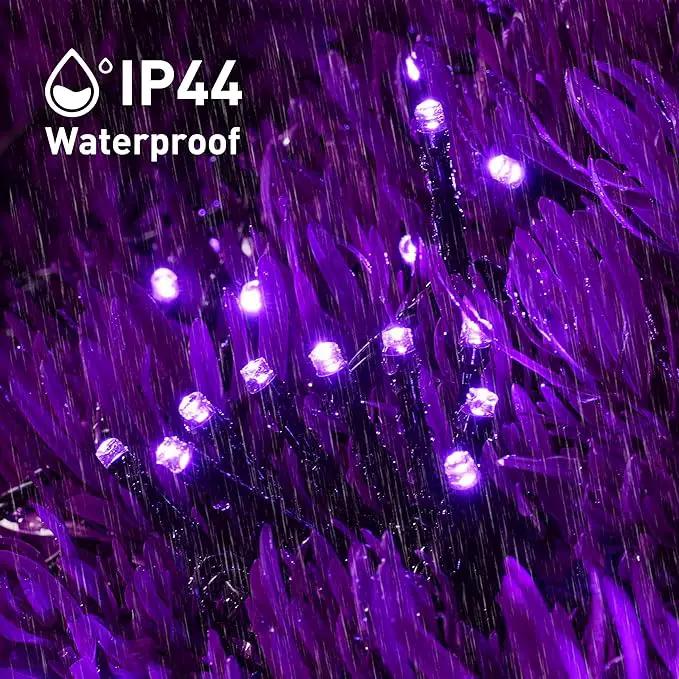 JMEXSUSS 2 Pack Purple Solar Christmas Lights, Total 400 LED 151FT Purple Solar Lights Outdoor Waterproof, 8 Modes Purple Christmas Lights for Outside Patio Yard Halloween Tree Christmas Decorations by GreenHaven Gardens