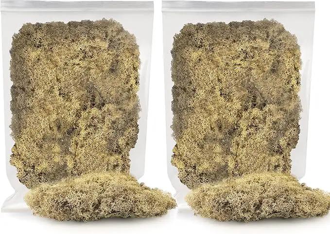 Premium Preserved Reindeer Moss for Potted Plants, Terrariums, Fairy Gardens, Arts and Crafts or Floral Decor Design in Natural (10 Quart) by GreenHaven Gardens