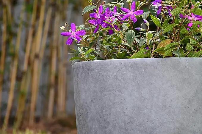 Kante 14 Inch Dia Round Concrete Planter, Indoor Outdoor Large Plant Pot with Drainage Hole and Rubber Plug for Home Patio Garden, Natural Concrete by GreenHaven Gardens