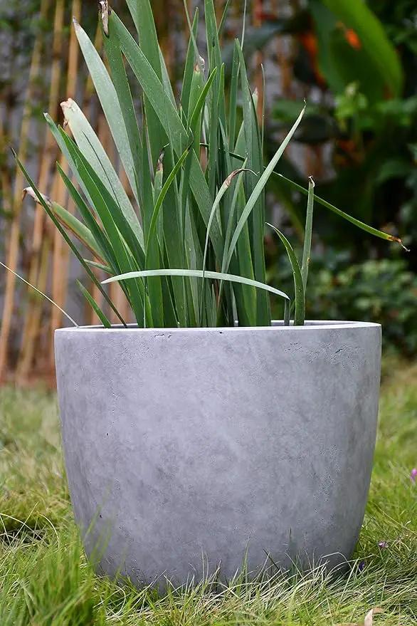 Kante 14 Inch Dia Round Concrete Planter, Indoor Outdoor Large Plant Pot with Drainage Hole and Rubber Plug for Home Patio Garden, Natural Concrete by GreenHaven Gardens