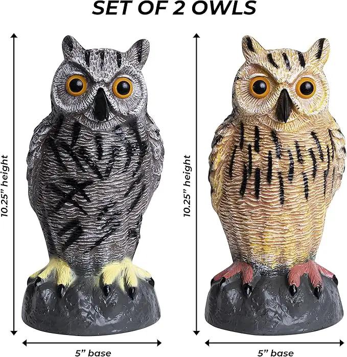 Galashield Owl Decoy to Scare Birds Away | Plastic Owls to Scare Birds Away | Owl Statue for Garden & Outdoors by Galashield [Set of 2] by GreenHaven Gardens