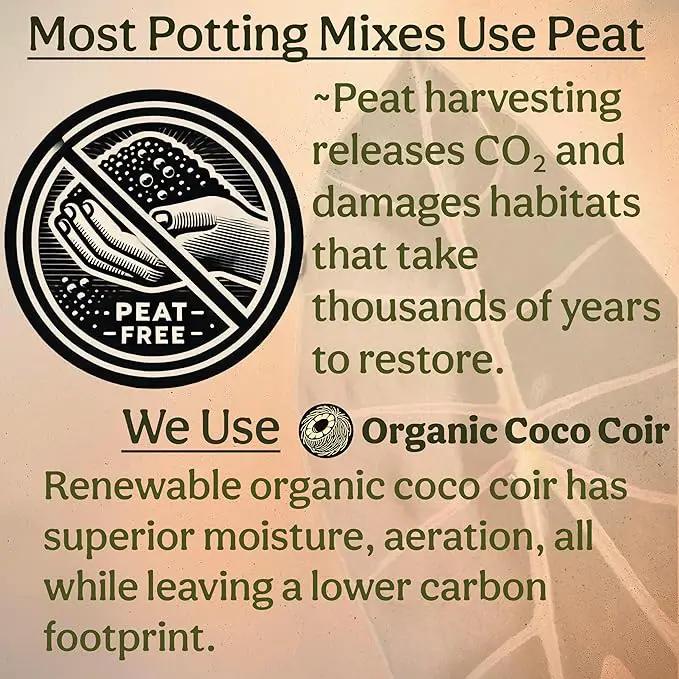 Craft Aroid Potting Mix- Elite Alocasia, Philodendron, Monstera Soil Mix, Chunky, Well Draining Potting Soil for Indoor Plants, All Tropical Plants & Houseplants, Synthetic & Peat Free 8QT by GreenHaven Gardens