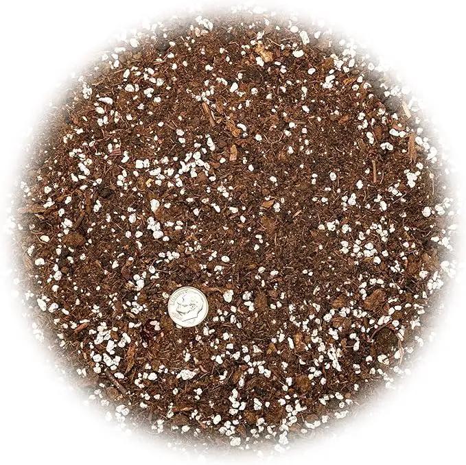 House Plant and Tropical Plant Potting Soil - Re-Potting Soil for All Types of Indoor House Plants - 3 Quart Bag by GreenHaven Gardens
