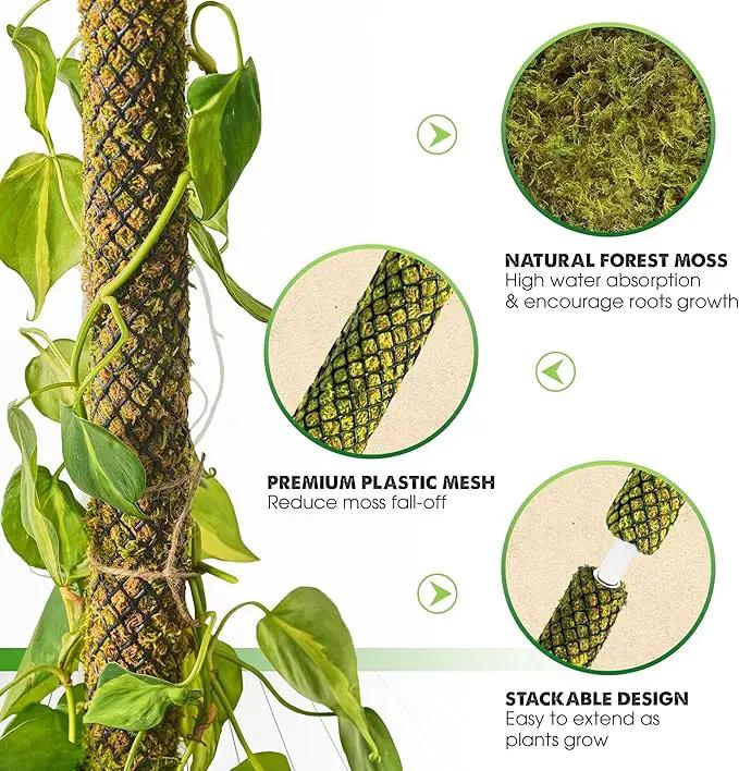 DUSPRO Stackable Mesh Moss Pole for Plants Monstera Potted Plant Stakes for Indoor Plants Extendable Plant Pole Moss Sticks for Plants Climbing Vine Supporting Monstera Trellis 4Pack 71'' by GreenHaven Gardens