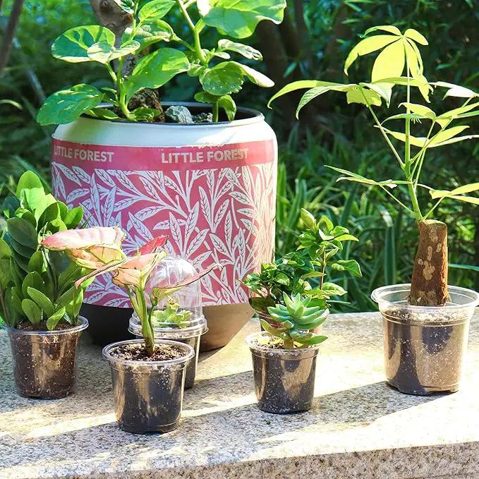 Bonviee 36 Packs 3.5/4/5 Inch Clear Nursery Pots, Transparent Plastic Planter with Drainage Holes, Seed Starting Pot Flower Plant Container -Clear by GreenHaven Gardens
