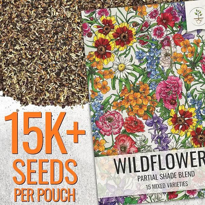 Seed Needs Partial Shade Wildflower Seed Mix for Planting | 10 Packs (1 Ounce Each) 14+ Varieties Open Pollinated Annual & Perennial Species | Flower Seeds Shade Tolerant | Bulk by GreenHaven Gardens