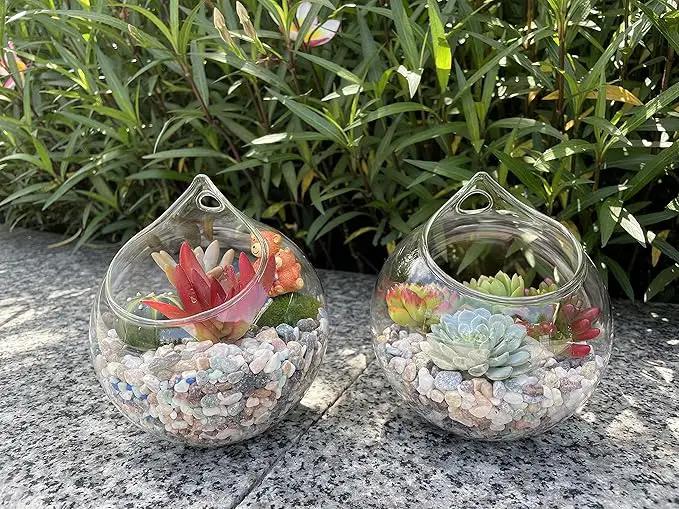 Ivolador Hanging Planter Glass Terrarium Container Air Plant Holder Succulents Globe Shape Home Garden Decor-4.7 Inches-3PCS by GreenHaven Gardens