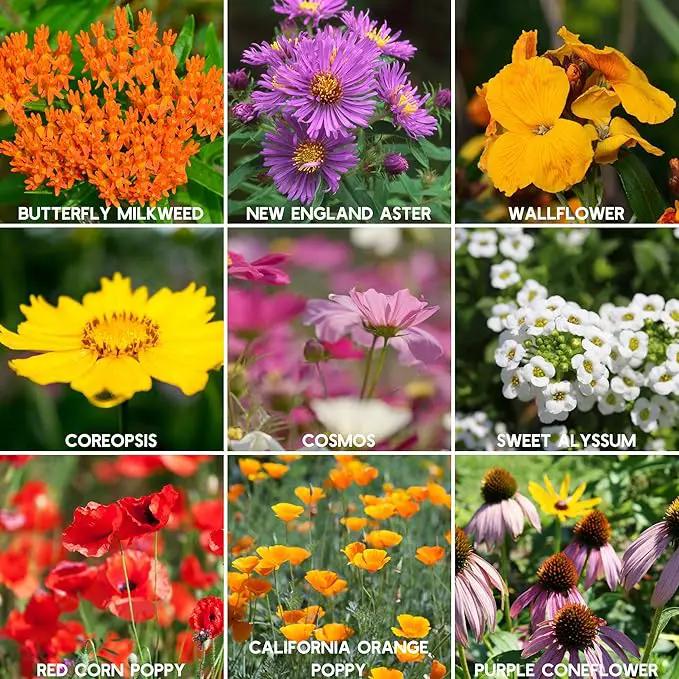 Wildflower Seeds Bulk, 2 Oz. 80,000+ Seeds – Save The Bees Mix with 19 Non-GMO Varieties – Bee Friendly & Pollinator Wildflower Seed for Planting by GreenHaven Gardens