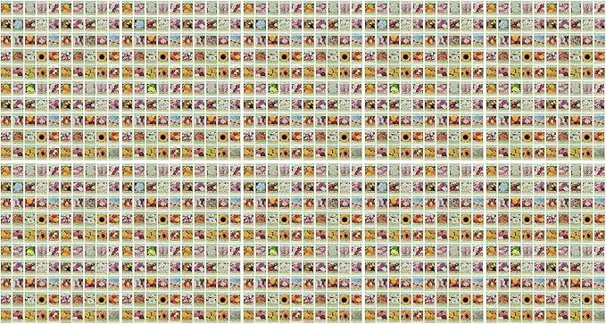 Set of 1000 Assorted Valley Green Flower Seed Packets! Flower Seeds in Bulk - 20+ Varieties Available! (1000) by GreenHaven Gardens