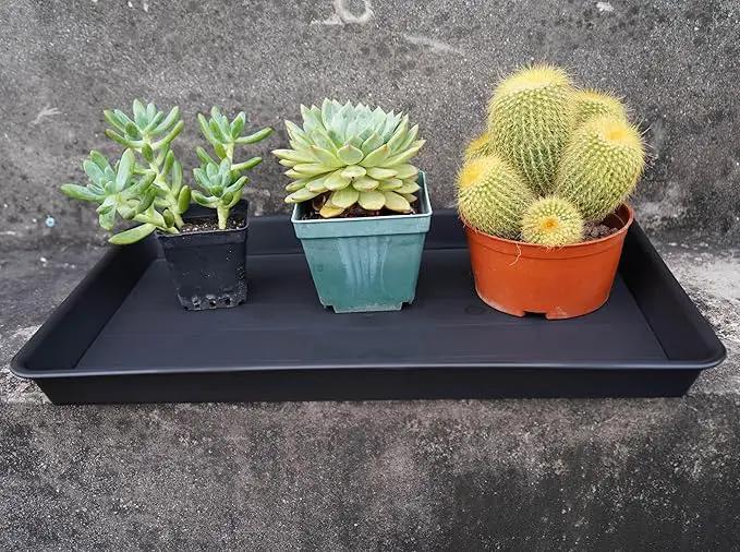 Plant Growing Trays 2 Pack, Plant Tray, 14.5"x11", Heavy Sturdy Plastic Plants Saucer, Seedling Starter Trays, Seed Starter Growing Tray (Black) by GreenHaven Gardens