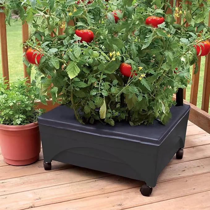 Emsco Group City Picker Raised Bed Grow Box – Self Watering and Improved Aeration – Mobile Unit with Casters by GreenHaven Gardens