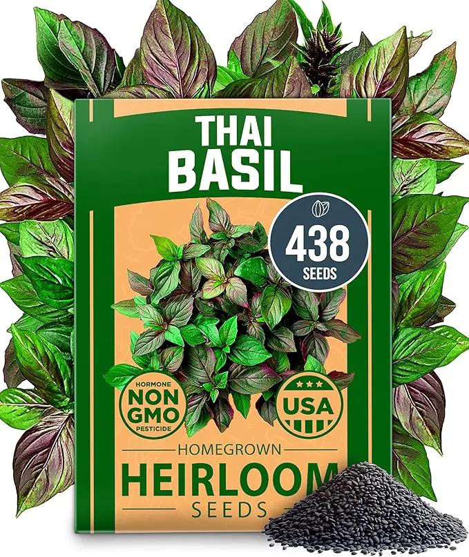 HOME GROWN Thai Basil Seeds Pack - 438 High Germination 𝗡𝗢𝗡-𝗚𝗠𝗢 𝗨𝗦𝗔 Heirloom Herb Seeds for Planting,Ideal for Growing Fresh Basil Planting Indoor or Outdoor(Ocimum basilicum var.thyrsiflora) by GreenHaven Gardens