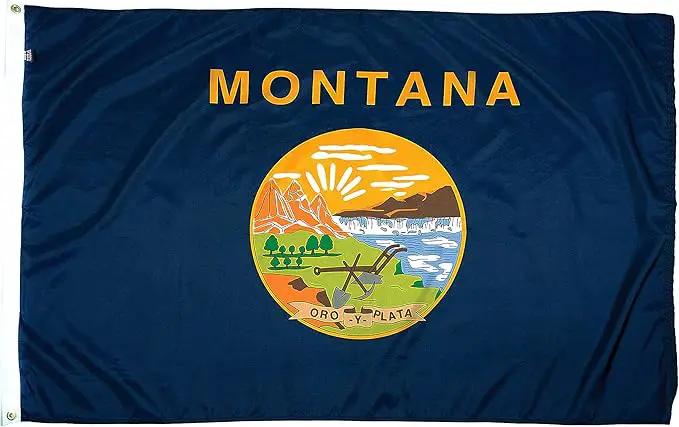FlagSource Montana Nylon State Flag, Made in the USA, 3x5' by GreenHaven Gardens